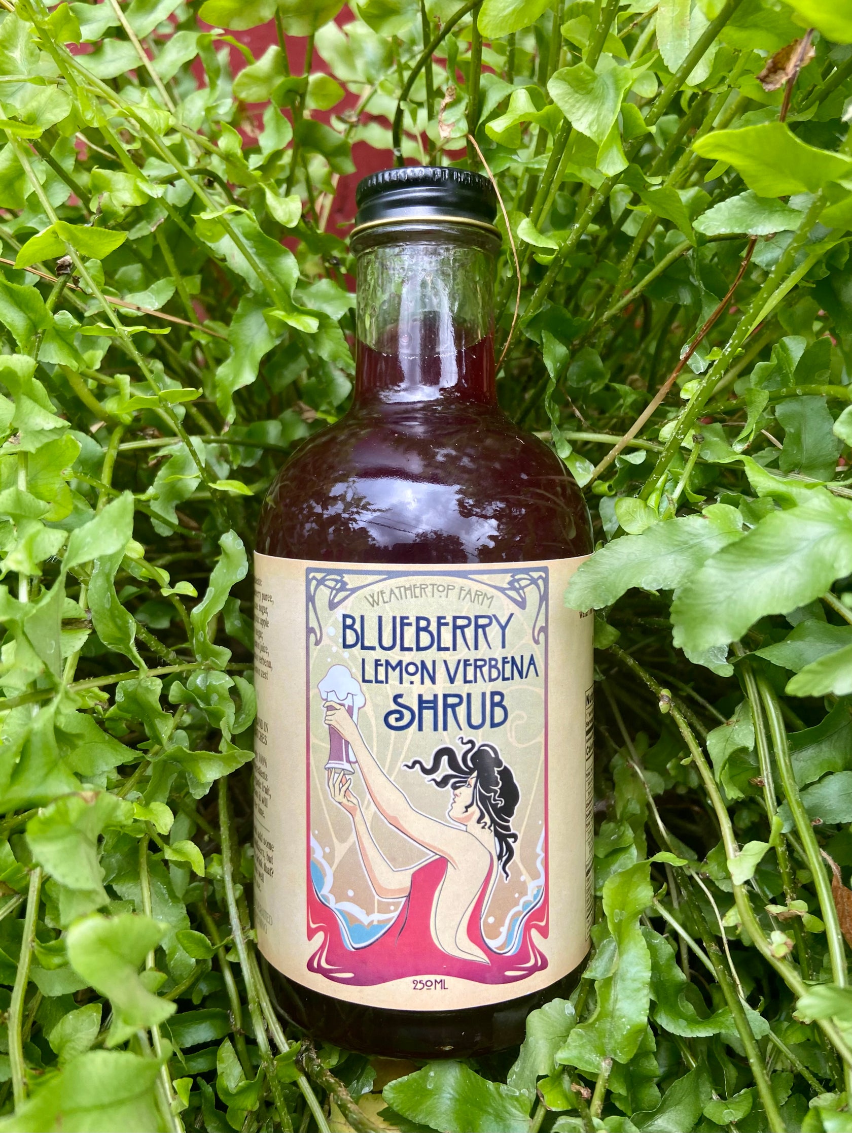 Blueberry Lemon Verbena Shrub 250 ml Weathertop Farm