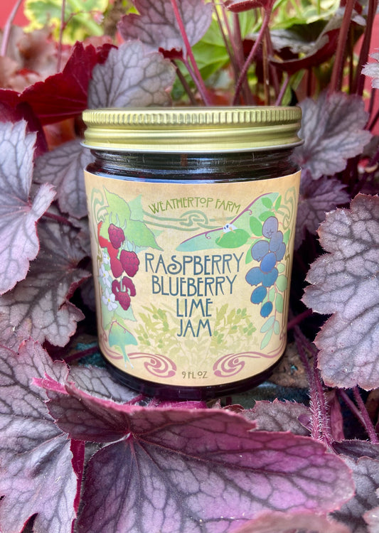 Raspberry Blueberry Lime Jam