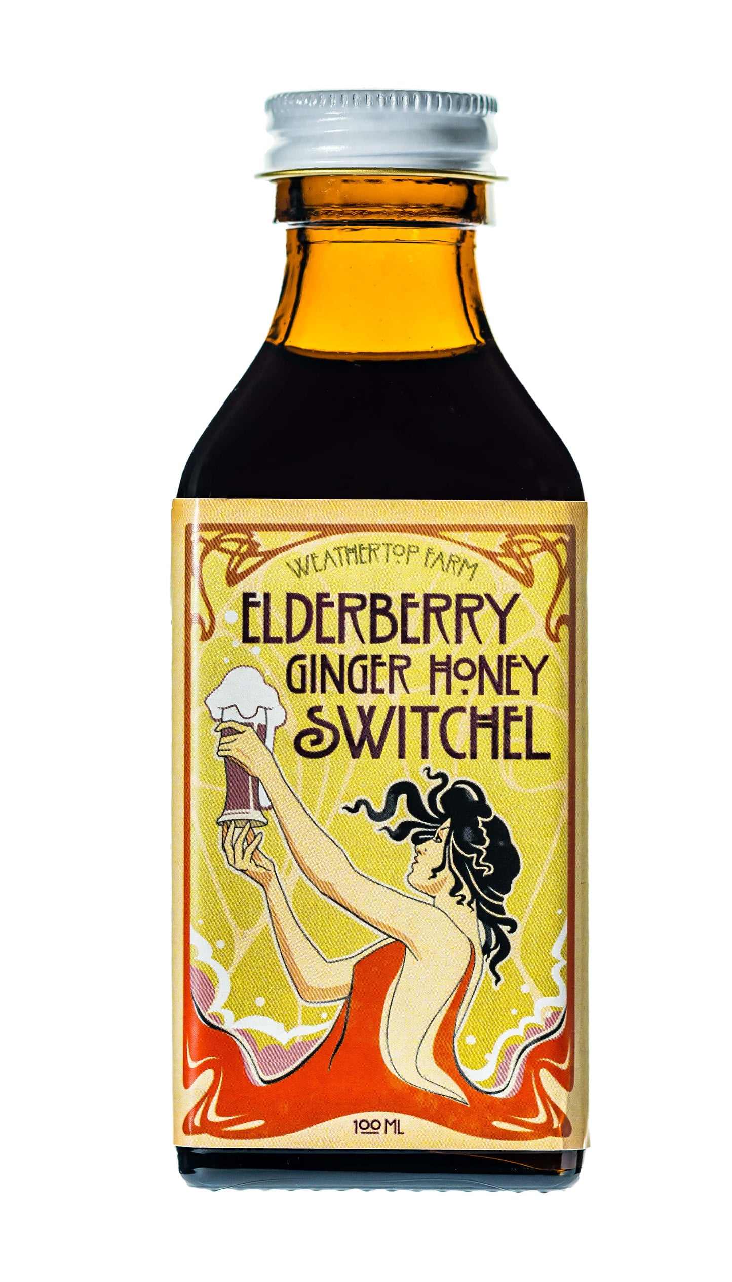 Elderberry Ginger Honey Switchel