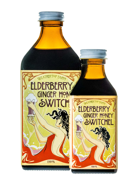 Elderberry Ginger Honey Switchel