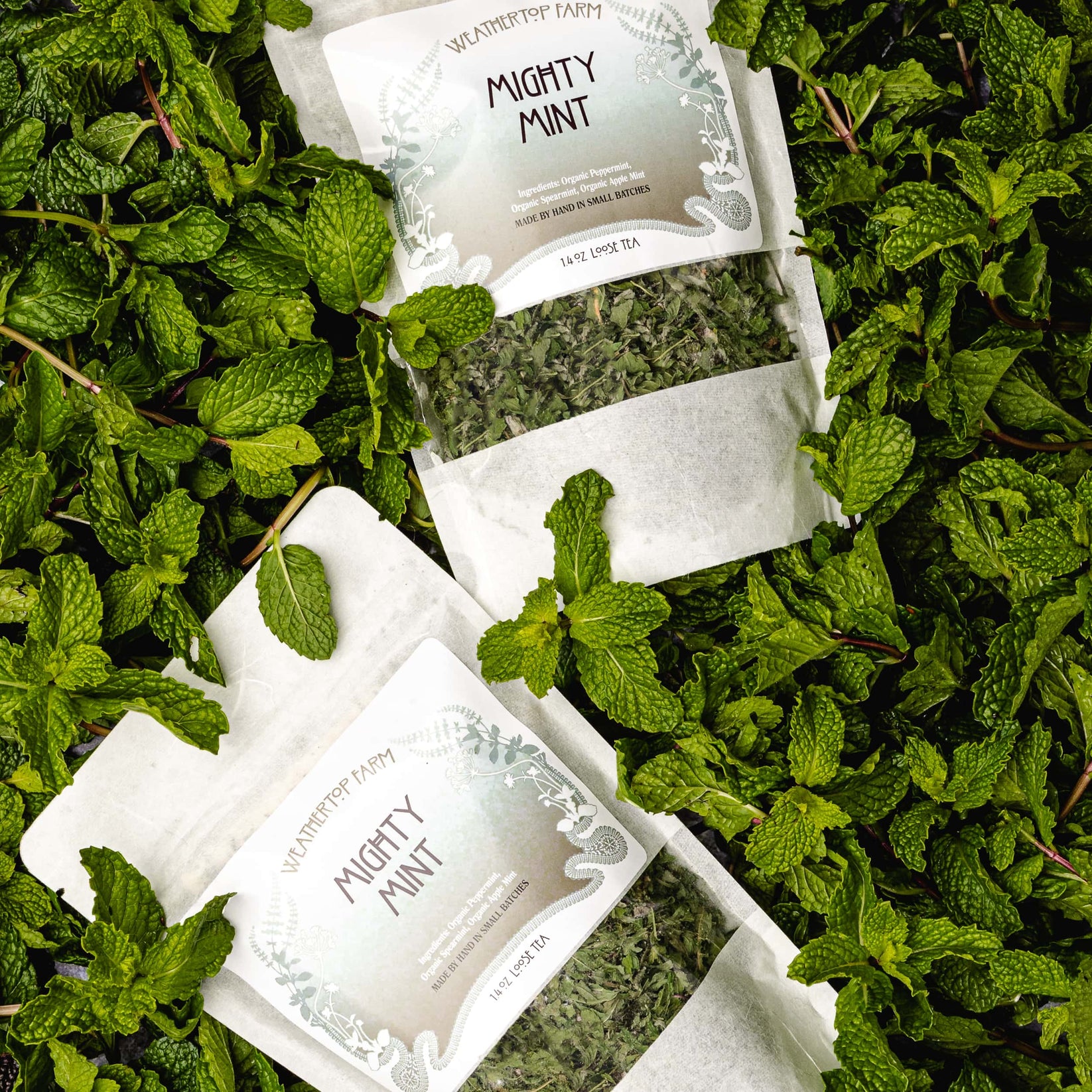 Mighty Mint Weathertop Farm