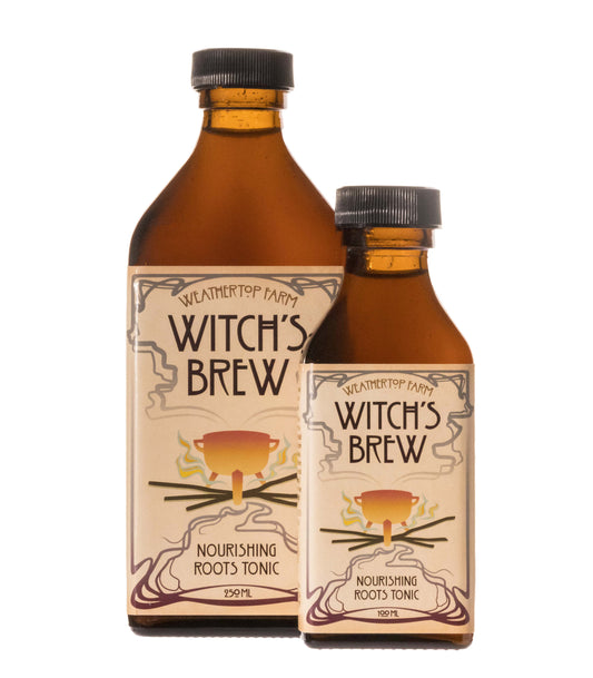 Witch's Brew