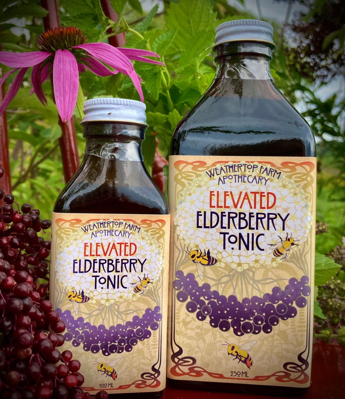 Elevated Elderberry Tonic